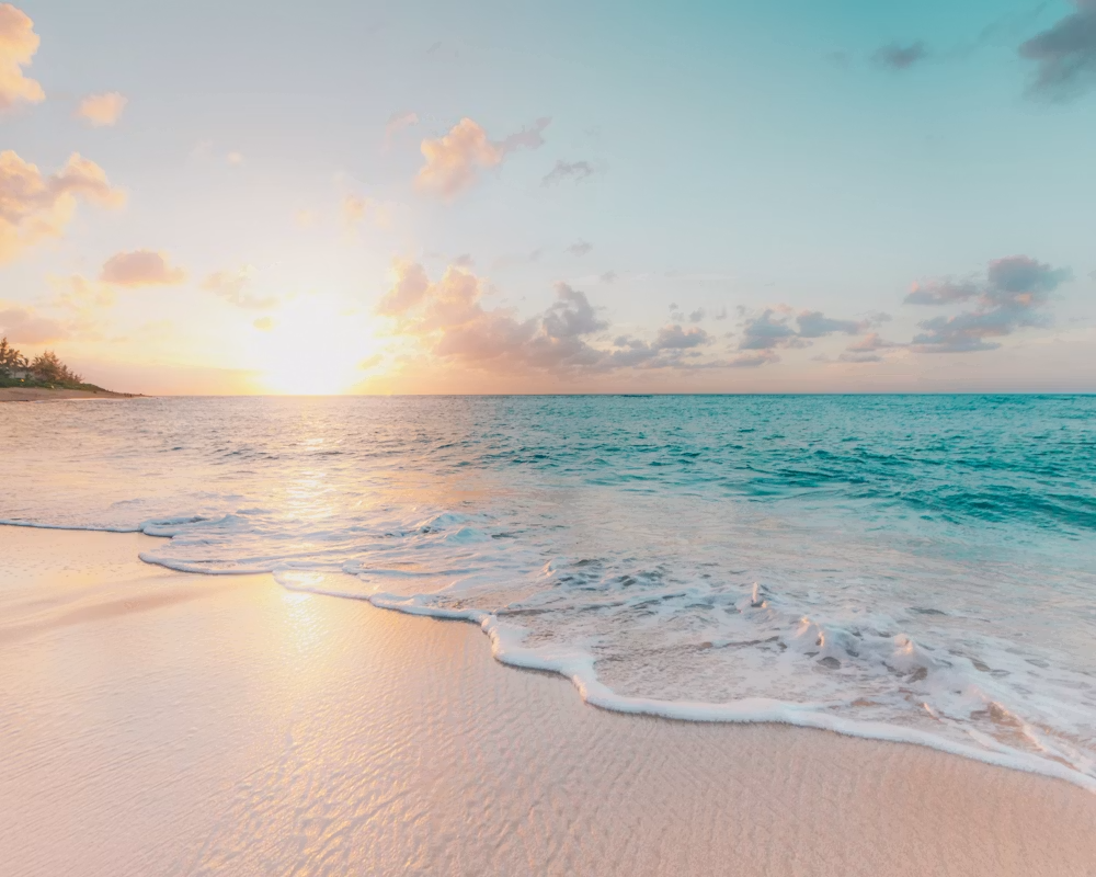 Praia paradisíaca no Nordeste
